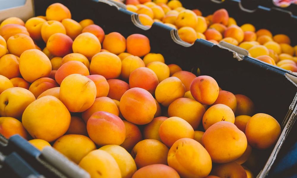 Apricots-by-Andre-Castellucci