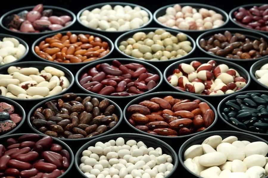 various-beans-legumes-may232019-min
