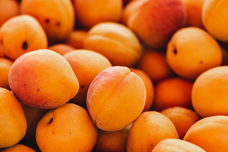 apricots