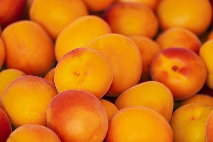 apricots-3433818__340