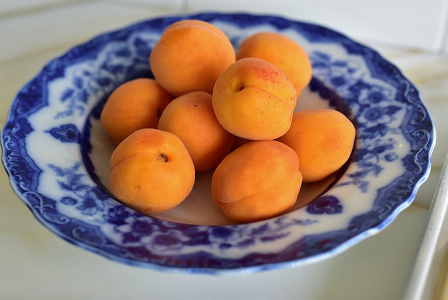 Apricots-in-a-blue-bowl-Maureen-Abood-800x535