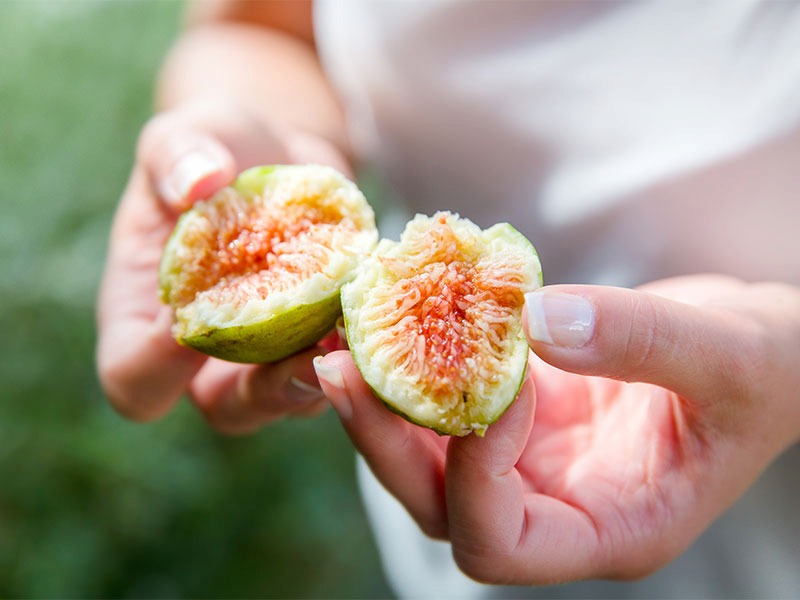 divided-fresh-organic-figs-from-the-tree