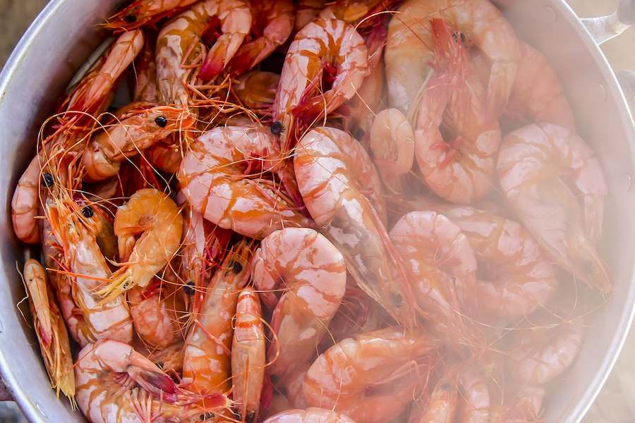How-to-reheat-shrimp.2.