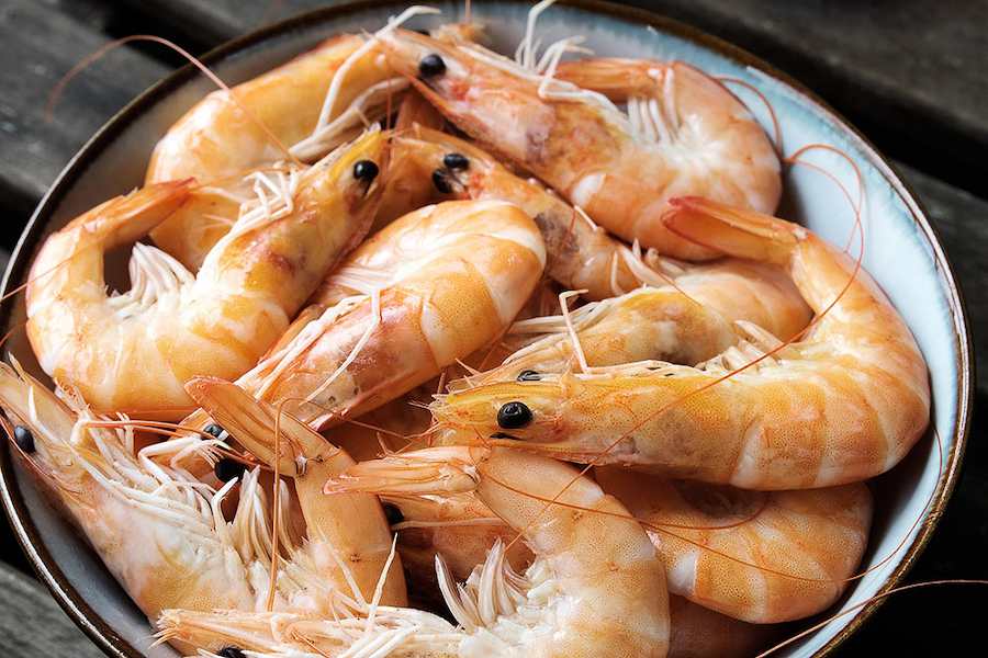 shrimp-with-heads_w