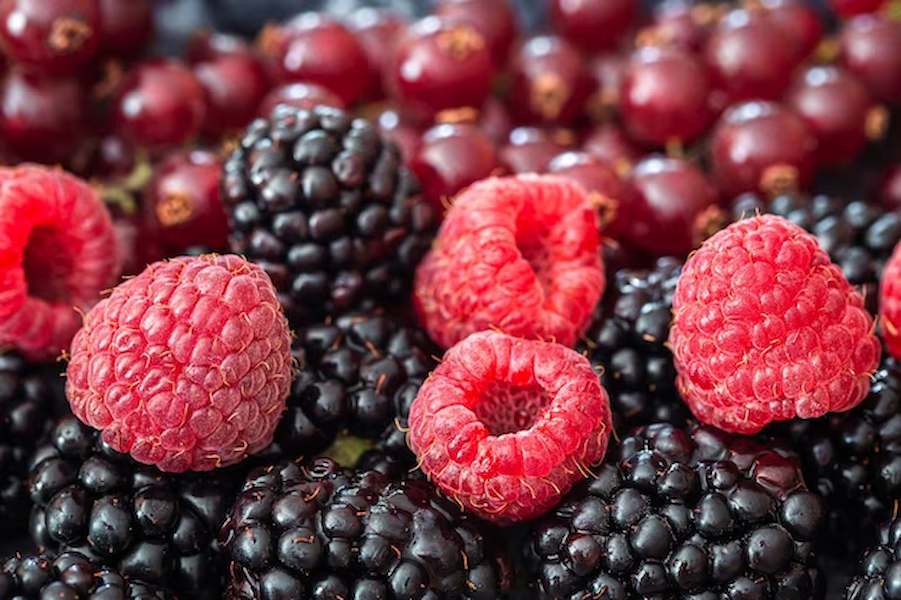 background-from-mix-different-berries-macro-photography_169016-23949
