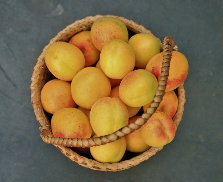 apricots-in-a-basket