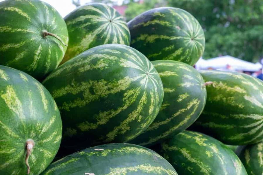 Display-of-Large-Watermelons-SS-2170037661-1024x684