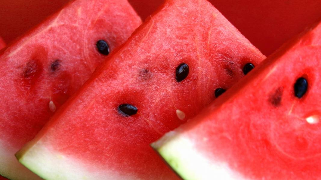 watermelon_texture1531