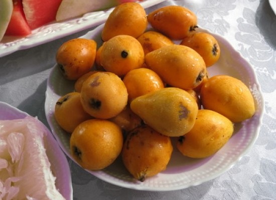 Loquat (1)-550x550w