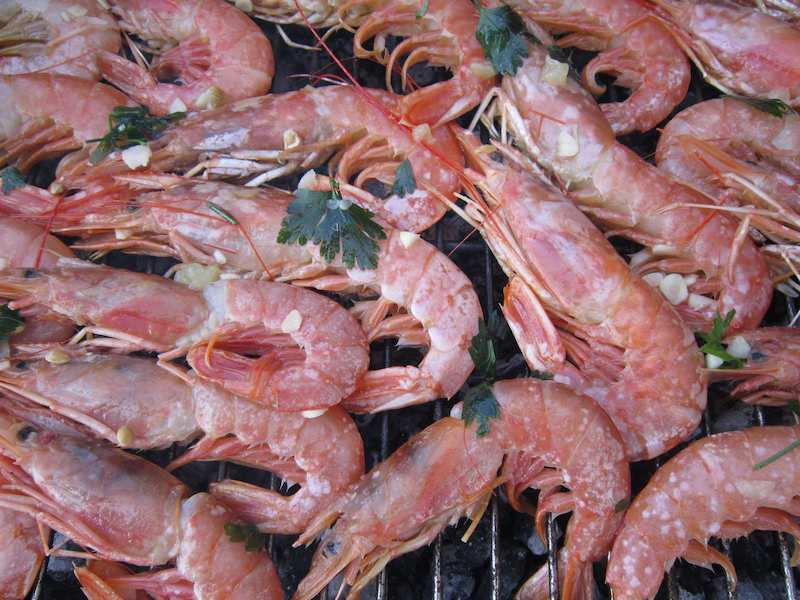 food-mediterranean-color-seafood-fish-eat-barbecue-invertebrate-grill-shrimp-crustacean-arthropod-delicacy-protein-king-crab-scampi-red-shrimp-gambero-rosso-gambero-rosso-dal-mediterraneo-dec