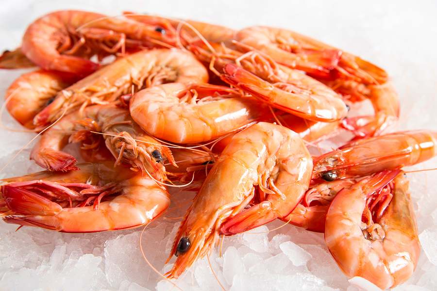 Ocean-King-Prawns-Cooked-Medium-Manly-Sydney-Fresh-Seafood-Manettas-Seafood-Market
