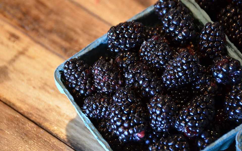 desktop-wallpaper-blackberries-fruit-berries-food