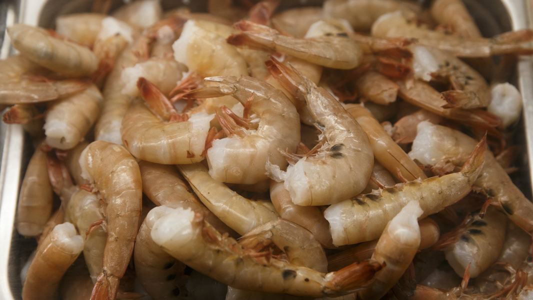raw-shrimp-4