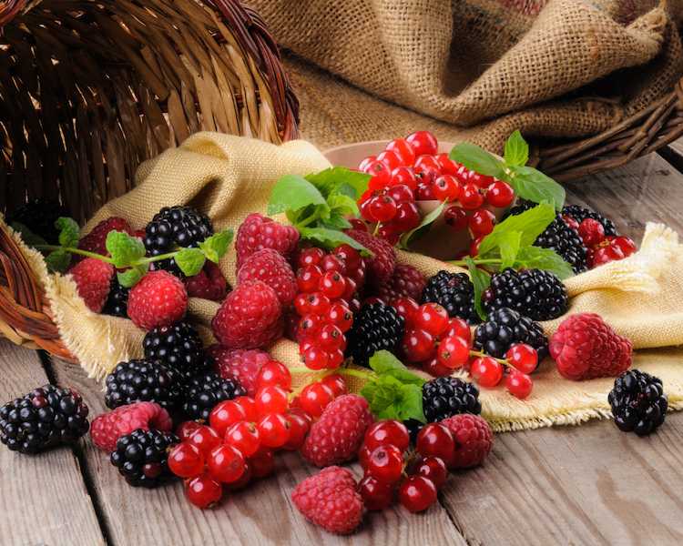 2017Food___Berries_and_fruits_and_nuts_Fresh_berries_of_blackberries__raspberries_and_red_currants_with_a_basket_on_the_table_116995_10