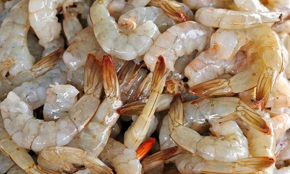 3dd9c5afr4_aquaculture_shrimp_matters_shutterstock_87364793