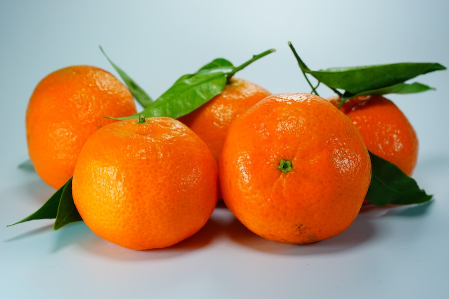 plant-fruit-orange-food-produce-vegetable-healthy-delicious-leaves-nutrition-fruits-tangerine-kumquat-clementine-vegetarian-food-vitamins-oranges-citrus-flowering-plant-tangerines-fruity-clem