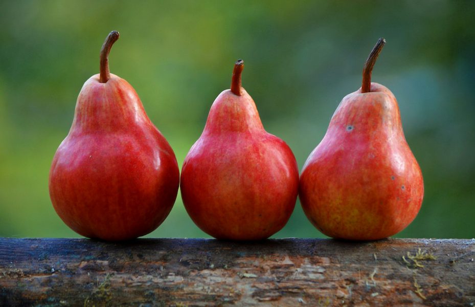 pears_fruit_diet_healthy_nutrition_food_fresh_healthy_diet-659625