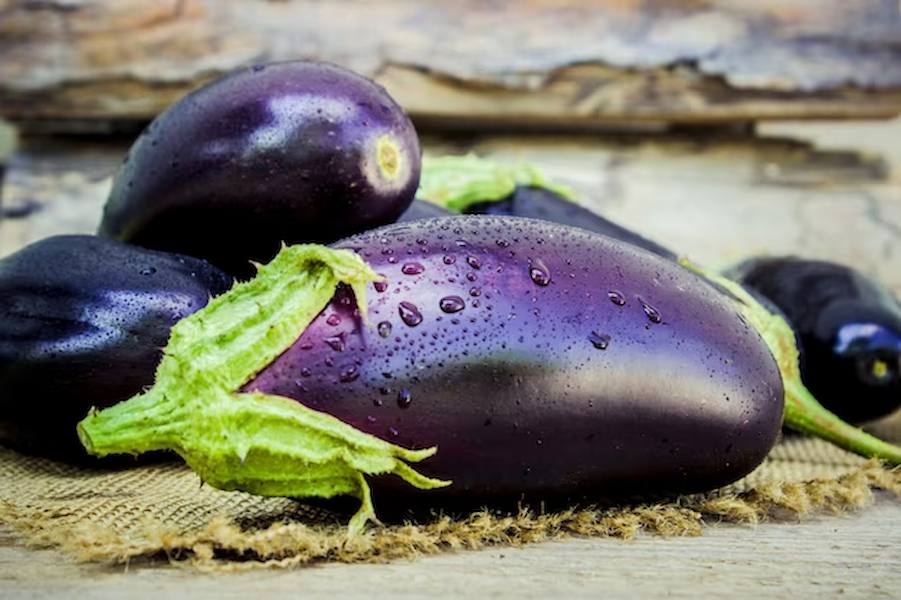 eggplant-food-selective-focus-nature-garden-food_73944-2029