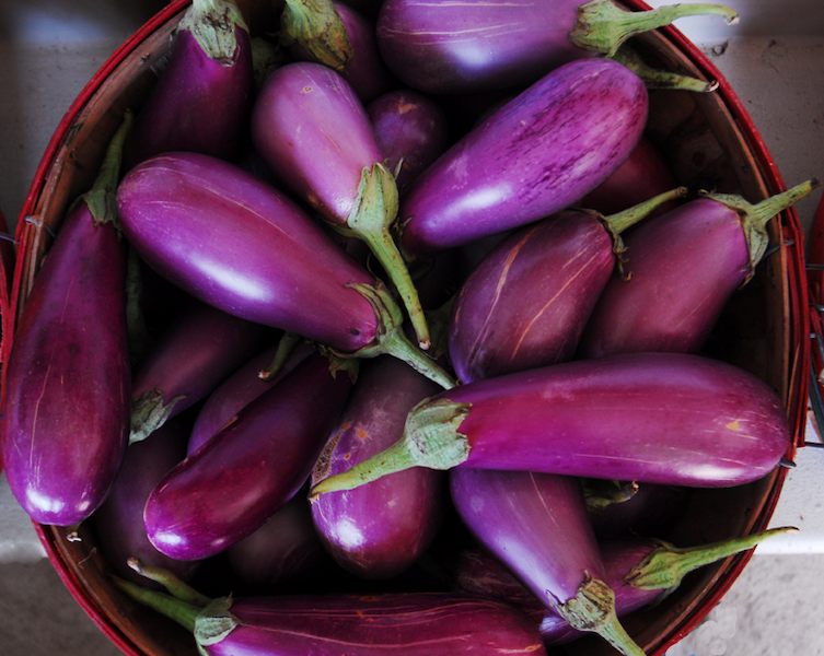 Purple_Eggplant