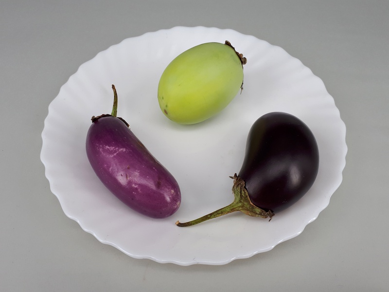 3_x_Small_eggplant_2017_A4
