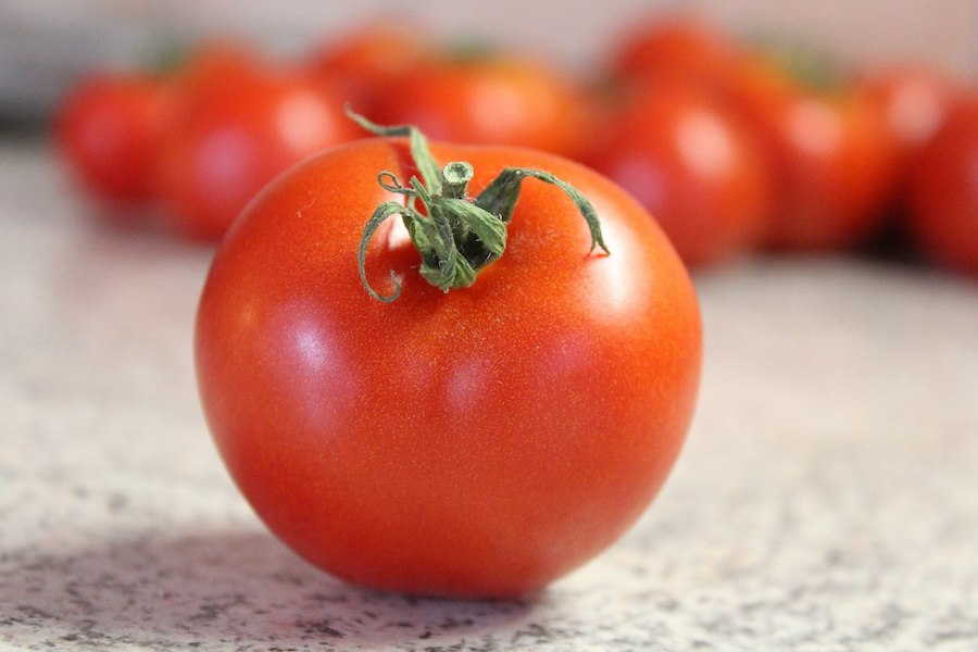 tomato-1653598_1280