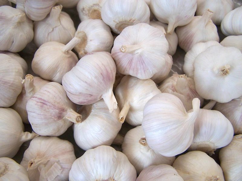 eating-raw-garlic