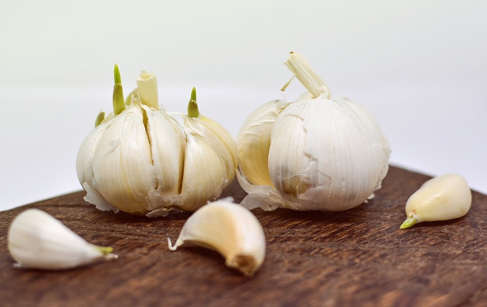 garlic-3084850_1280