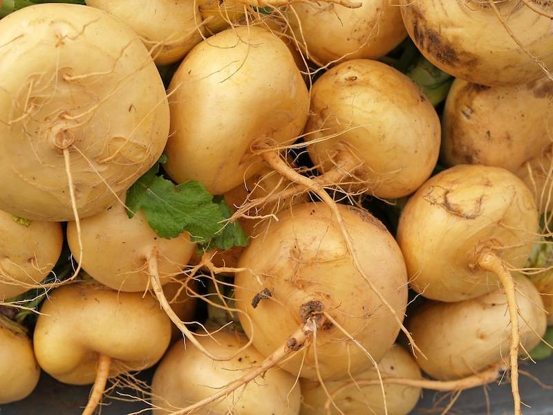 Turnip-gold-ball