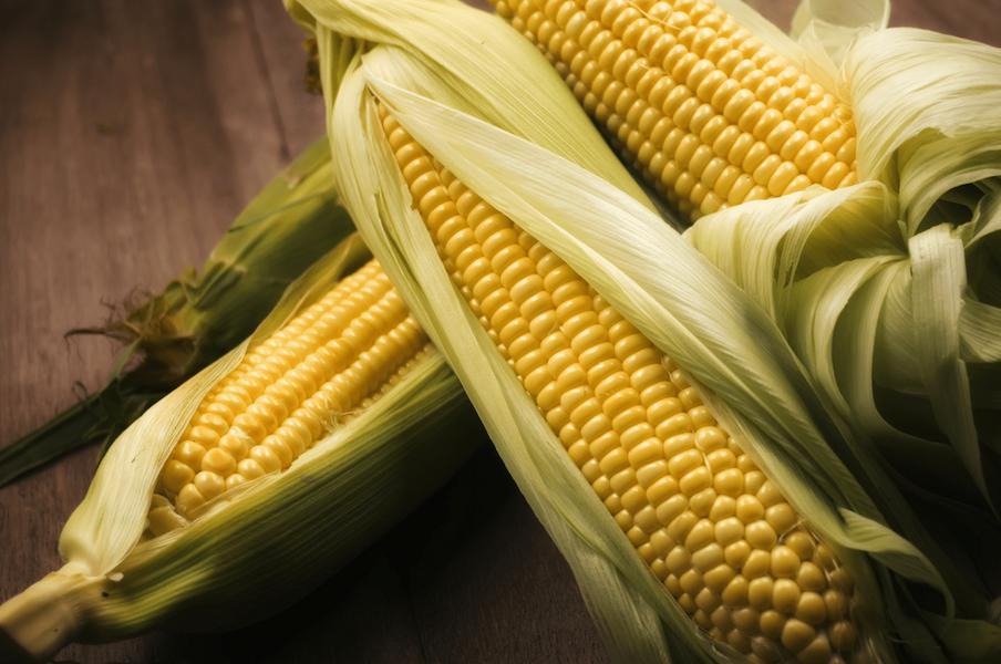 Sweet-corn-on-cob