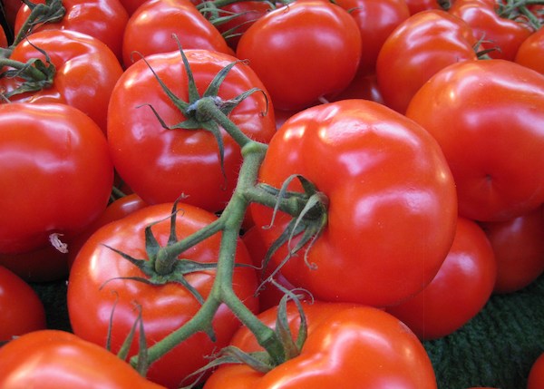 fresh-tomatoes-19