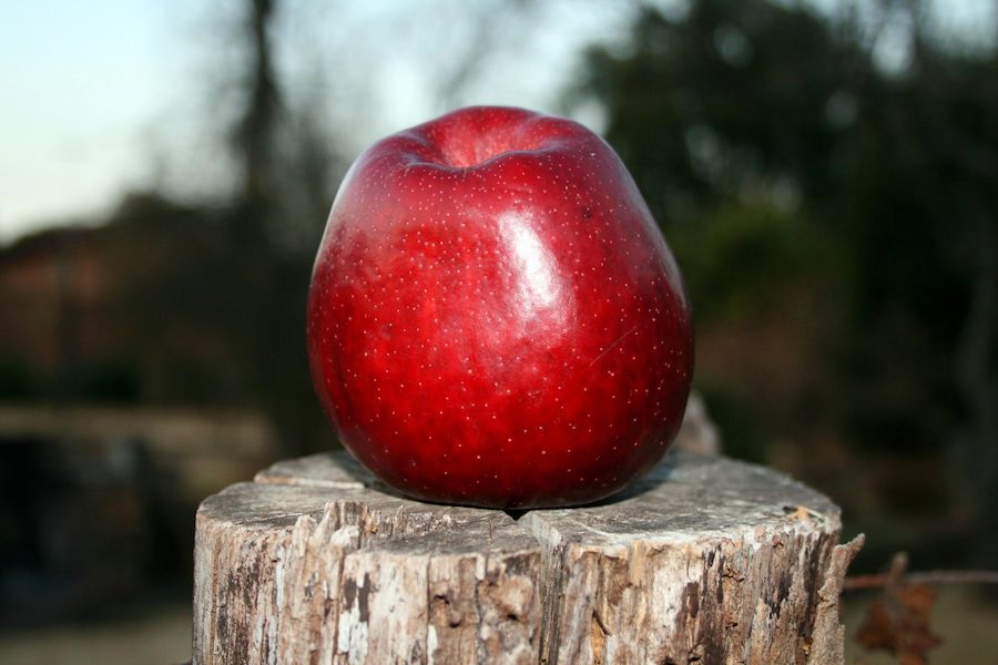 bright-red-apple