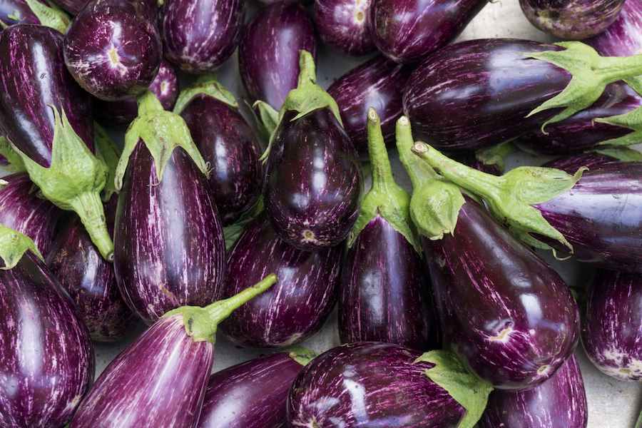 568959-aubergine-background