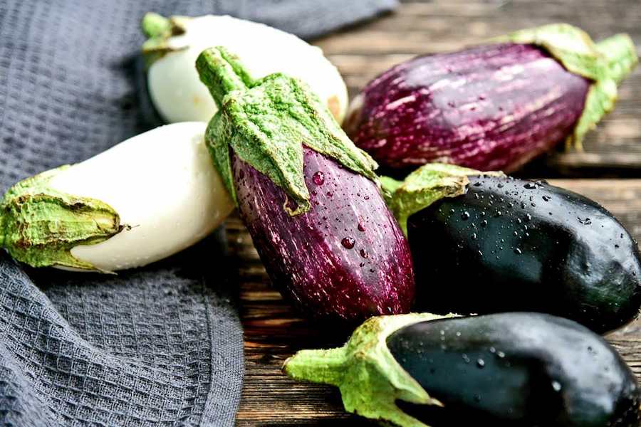 Eggplant-Varieties