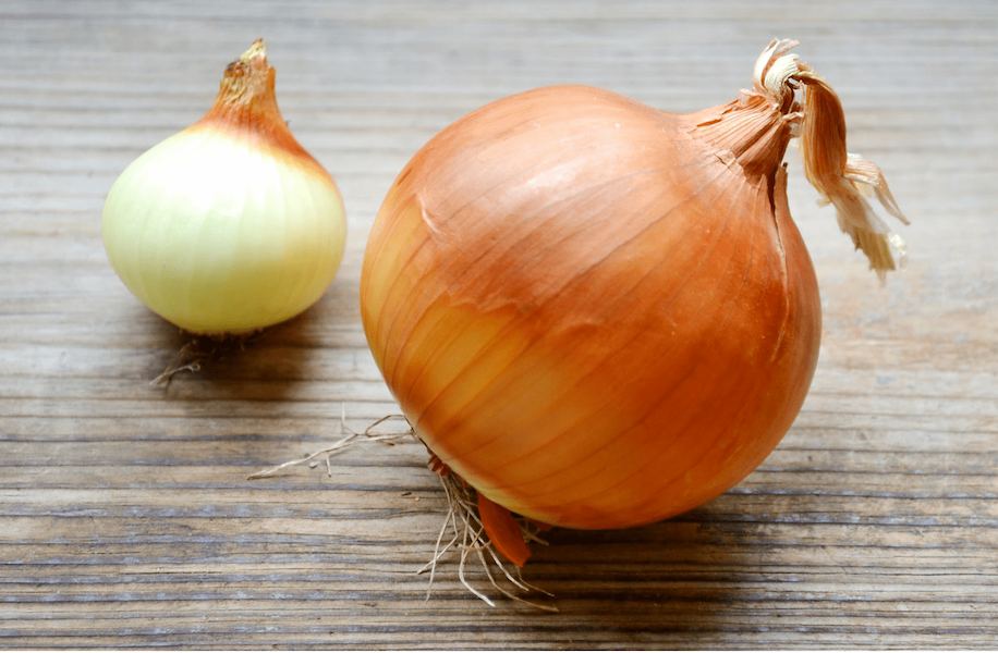 onion-header