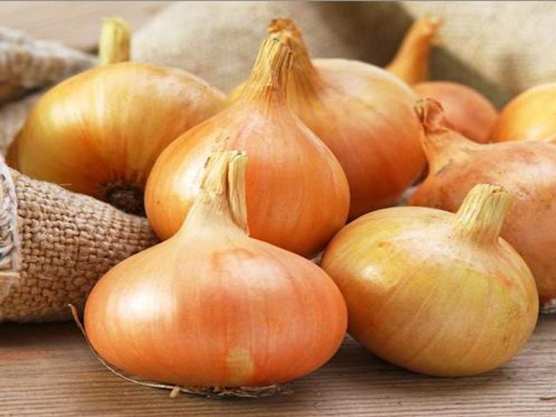 stuttgarter-onion-sets__22256 (1)