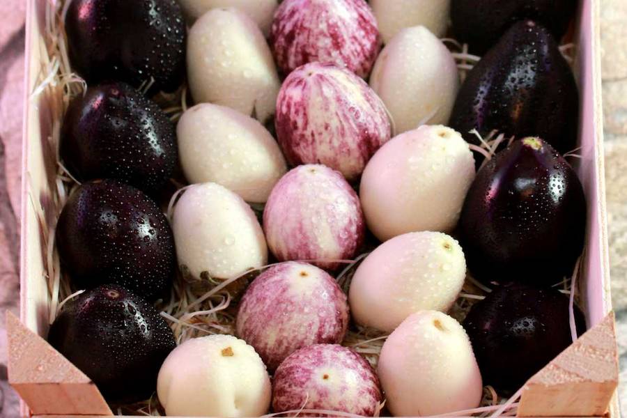 eggplant-varieties (1)