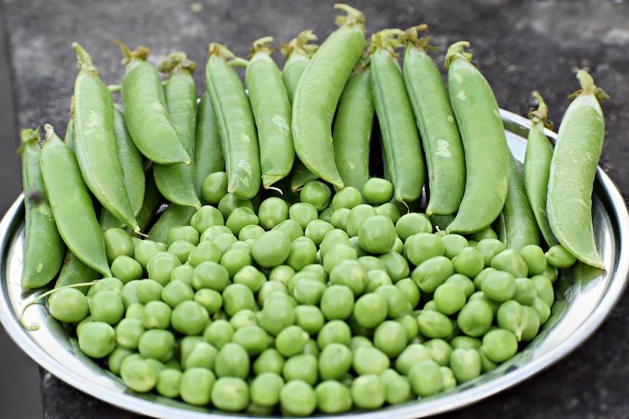 green-peas-vegetable-on-a-plate