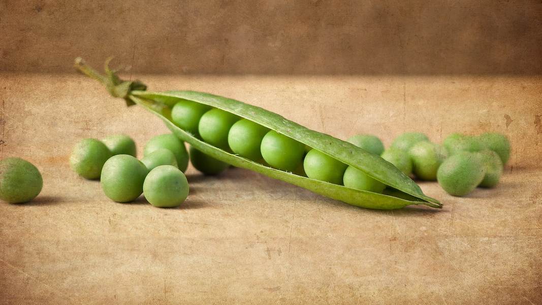 pod-green-peas-grains-wallpaper