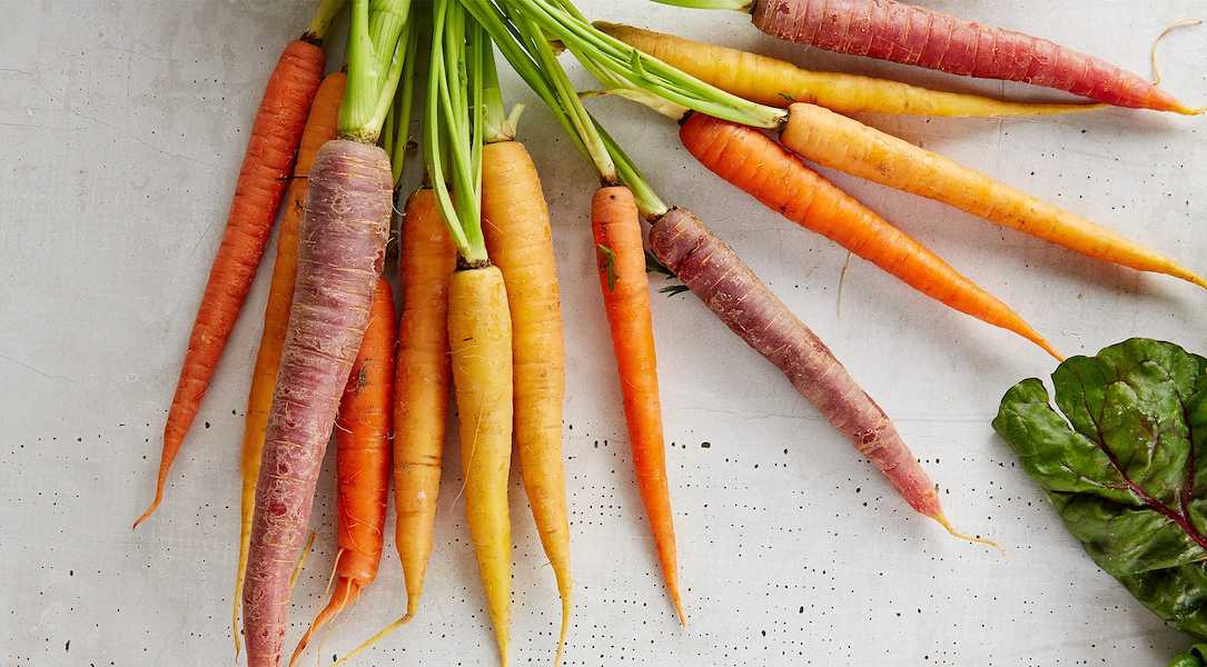 Carrot-Varieties