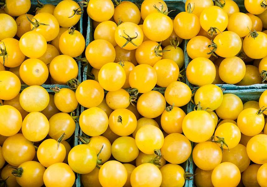 yellow-cherry-tomatoes-john-trax