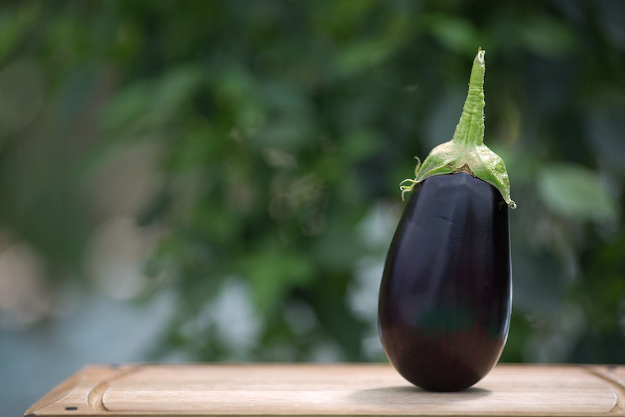 1200px-Lufa_Farms_Eggplant