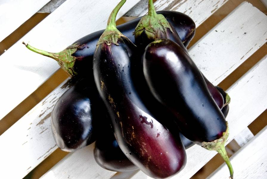 5581028-eggplant-wallpapers