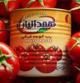 رب گوجه فرنگی همدانیان کلیددار 800گرمی (12 عددی)