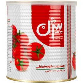 رب گوجه فرنگی بیژن 800 گرمی