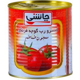 رب گوجه فرنگی چاشنی 800 گرمی