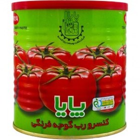 بسته 4 عددی رب گوجه فرنگی پایا 800 گرمی