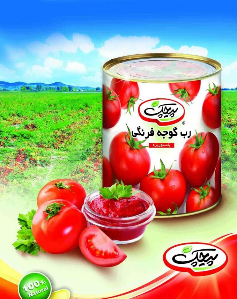 خرید و قیمت رب گوجه پیچک 245 کیلوگرمی + فروش آنلاین