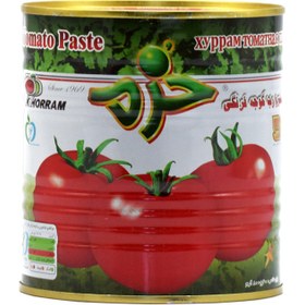 انواع رب گوجه فرنگی خرم 245 کیلو گرمی +  قیمت عالی