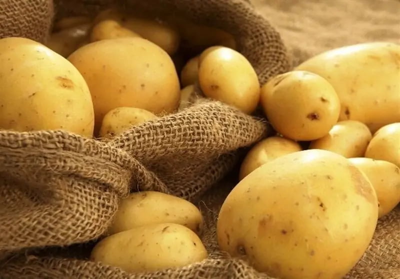 export-potato