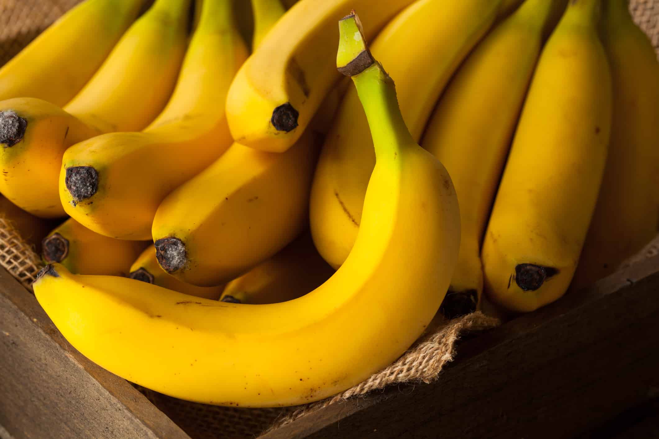Banana-Fun-Facts